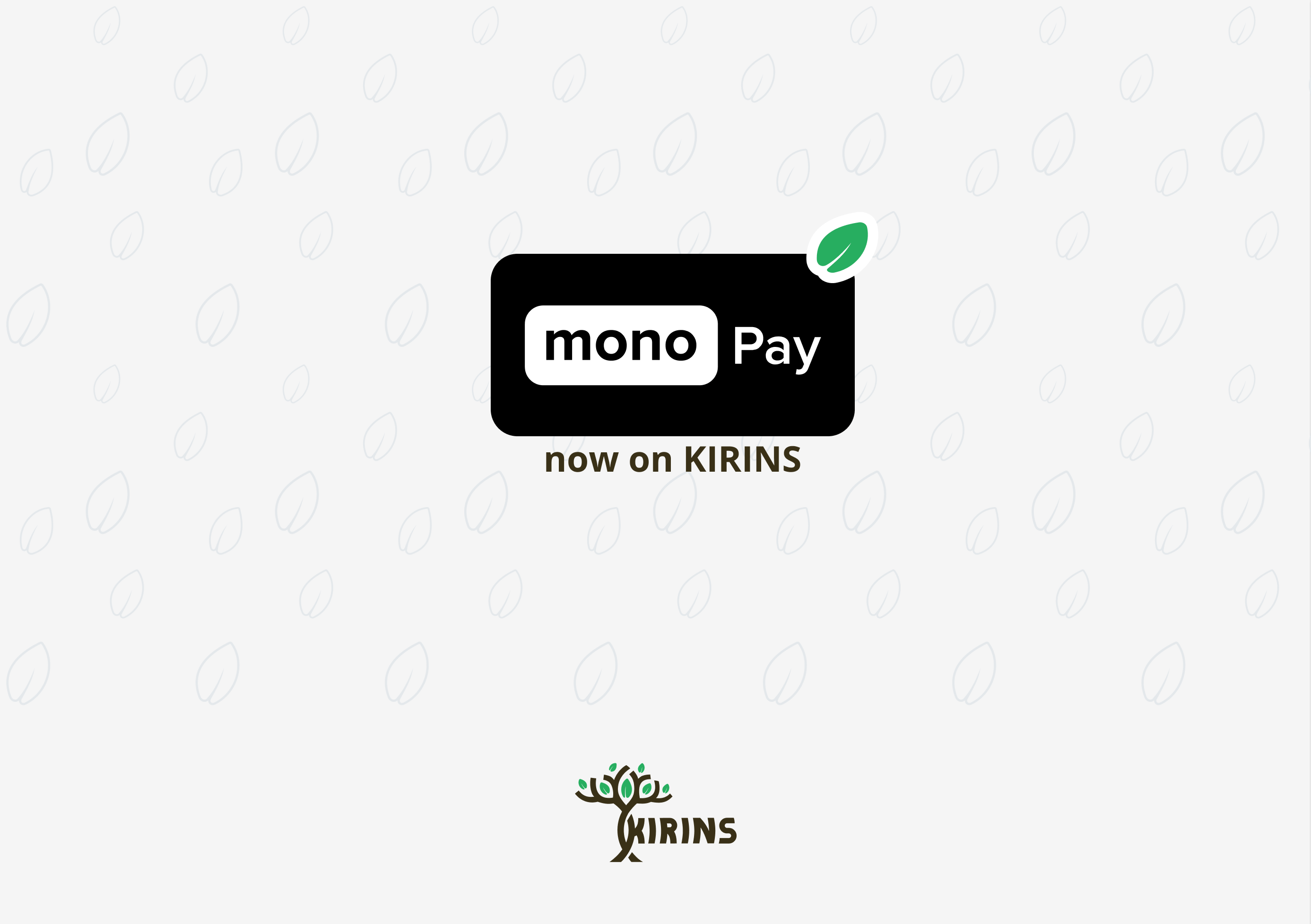 Payment for additional assistance monobank on KIRINS
